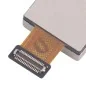 Caméra Arrière Principale Originale pour Xiaomi Poco X7 Pro 5G Caméra Arrière Principale Originale pour Xiaomi Poco X7 Pro 5G