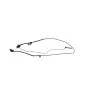 Camera Cable 01AW217 DC02C00C400 for Lenovo ThinkPad S5 Camera Cable 01AW217 DC02C00C400 for Lenovo ThinkPad S5