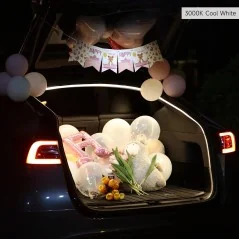 Tira LED Doble Modo para Tesla Model Y | Luz Blanca Cálida y Fría